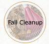 Fall Clean-up
